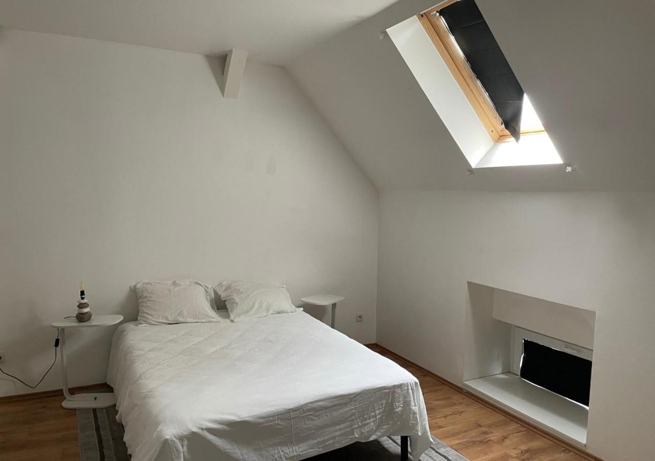 Le Wolf - 1 Chambre Dans Un T3 - 5Mn Tram Du Centre Ville - 15Mn Tram Gare Tgv Mulhouse - Wifi - Parking Exteriör bild